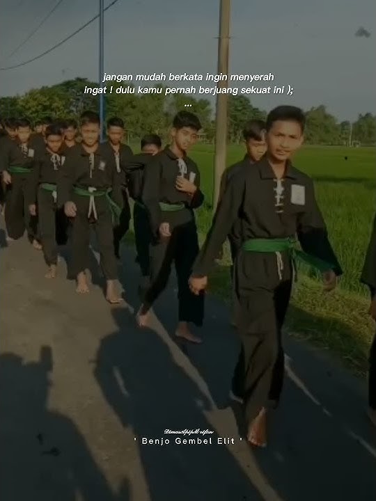 Story WA PSHT Terbaru || Dj Top Topan