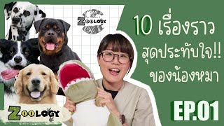 มาฟัง 10 เรื่องราวสุดอึ้ง ! สุดประทับใจ! ของน้องหมากัน ll Zoology Ep.1