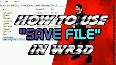 WR3D How to Use Save Data in PC - Tutorial