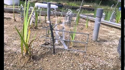 ESR4 Myrto Nikolakopoulou - Introduction