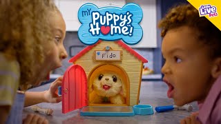 Little Live Pets I My Puppys Home Tvc I 10