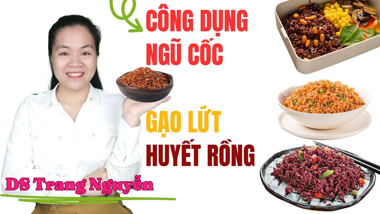 Gạo Lứt Huyết Rồng Bước Đột Phá Trong Thực Dưỡng