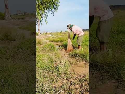 #fishing #fish #shorts #shorts #shortvideo #youtubeshorts