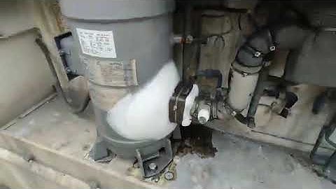 Reefer Container Daikin Running 👍