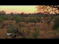 Botswana, intense et sauvage - Échappées belles