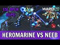 Neeb vs HeroMarine - ESL Open Cups #24! (PvT)