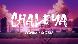 Chaleya Shah Rukh Khan Nayanthara Arijit Singh Shilpa R Anirudhslowed Reverb Lyrics Video