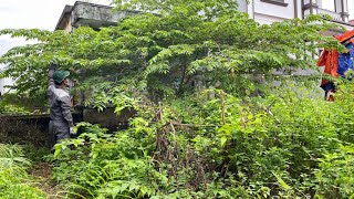 Helping People Clean Up An Abandoned House Violating the City - Commendable Results by Cleanup Overgrown 114,760 views 6 months ago 32 minutes