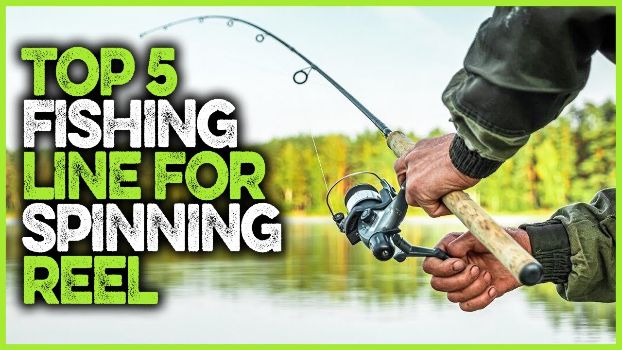 Top 5 Best Fishing Line For Spinning Reels On The Market 