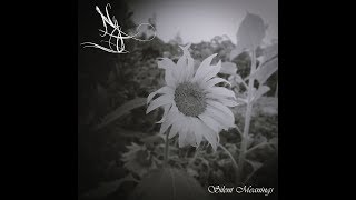 Ny - Silent Meanings