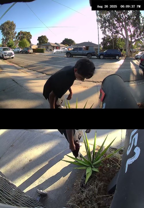 T8213P21233739CA 2025 08 26 18 09 30