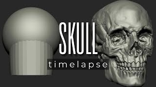 SCULPTING A SKULL USING ZBRUSH