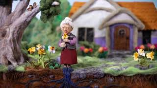 Stop motion Animation Roots