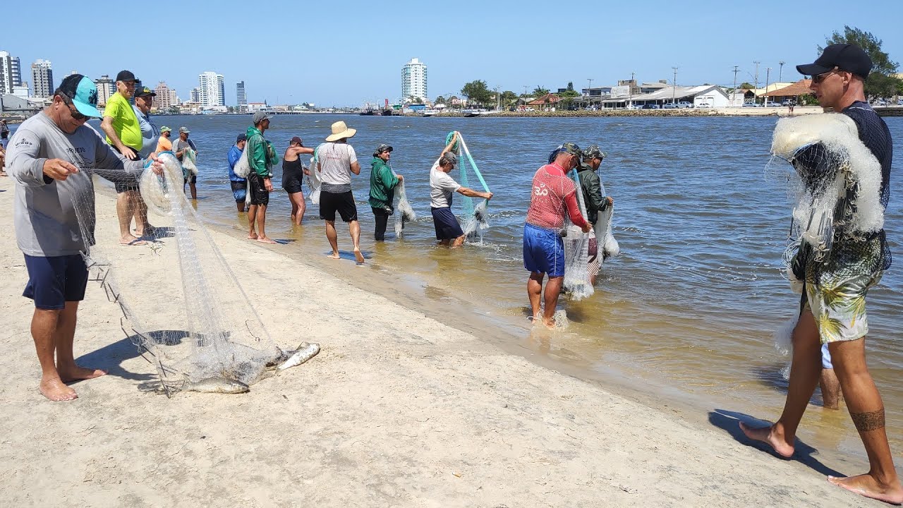 Pesca de tarrafas, 14-01-24 (acasalamento de botos), Barra, Tramandaí, RS.#pescadetarrafas #botos