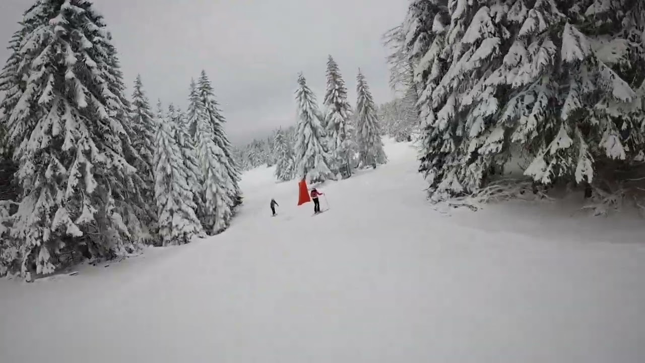 Skijanje na Kopaoniku: Crvena Duboka (6a) - Pančićev Vrh (4) - Mašinac (22)