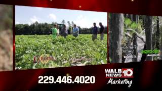 WALB Marketing Promo