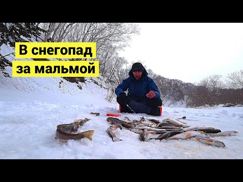 В снегопад за мальмой