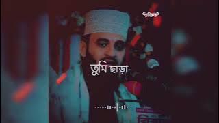 mizanur rahman azhari whatsapp status video | emotional waz | islamic life stk @rohossherdunia