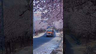 Guess Which Country?