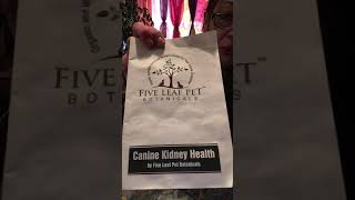 LiLi’s appetite has returned thanks to -Canine Kidney Health (dot com)- Five Leaf Pet Botanicals (2)