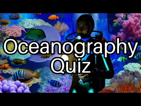 🌊 Test Your