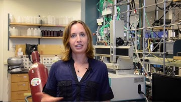 What is a paleoclimate scientist?