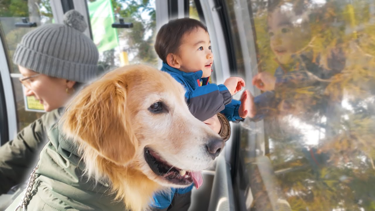 怖がってたゴンドラも今では大好きな兄弟が可愛すぎるww