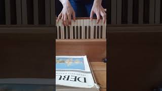 "Symptom of Being Human" -Shinedown | on old Piano
