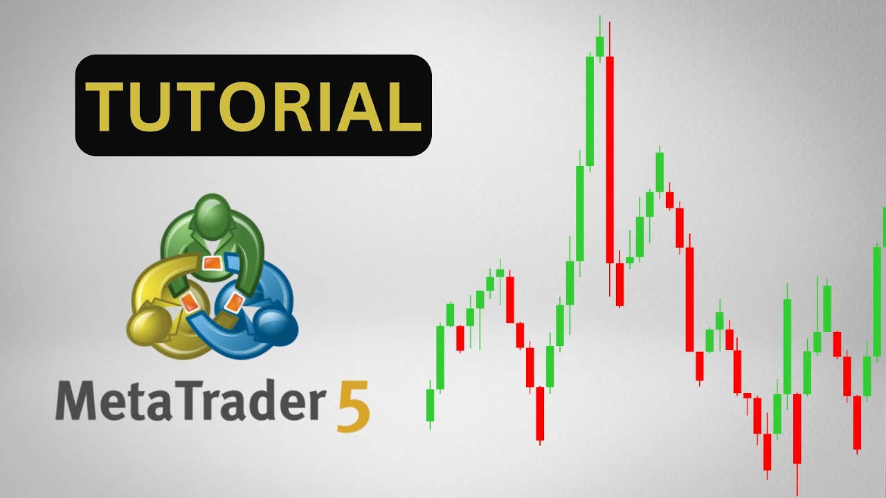 Cómo Usar MetaTrader 5 Paso a Paso 📊| Guía para Principiantes - YouTube