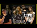 Nemophila -  Life (REACTION) More Awesome From Japan & WYATT is BACK!