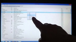 Celebrity Windows 8 - Task Manager - Services tab Wealth
