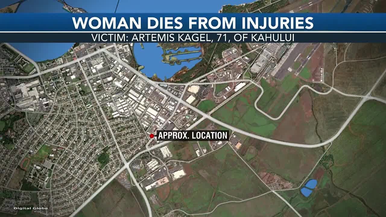 Elderly woman dies from injuries after being hit by vehicle - YouTube