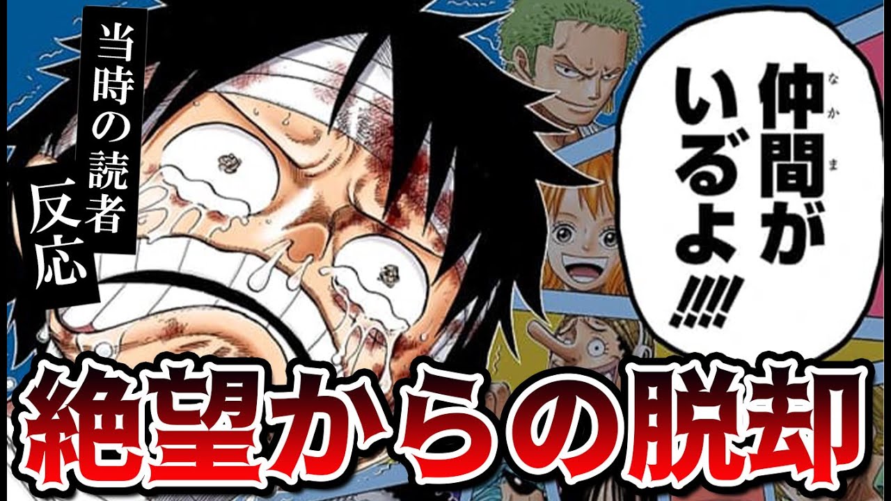 仲間がいるよに対する読者の反応集！【ワンピース590話】 - YouTube