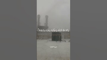 قَالُوا رَبَّنَا أَفْرِغْ عَلَيْنَا صَبْرًا وَثَبِّتْ أَقْدَامَنَا || سورة البقرة || علي جابر