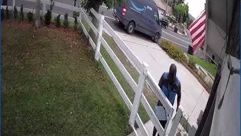 Amazon Driver Leaps Over Fence to Escape Huge Dog