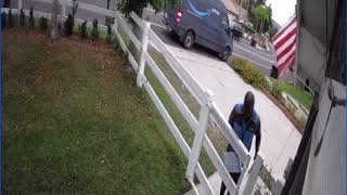 Amazon Driver Leaps Over Fence to Escape Huge Dog