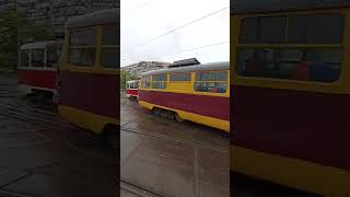 Словил РШ-3 #transport #kyiv #tram