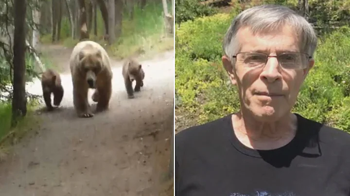 Hiker Records Video As Mama Bear And Cubs Follow Him Along Trail - DayDayNews