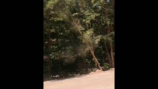 Aman O Yar Canım O Yar