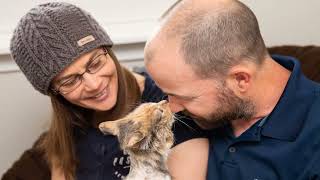 Fort Smith considers requiring permit to sell animals in city to curb issue with stray cats, dogs
