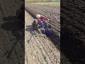 Весна пришла. Мотоблочная пахата. #мотоблок #агротехнологии #farming #agriculture