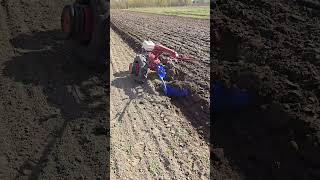 Весна пришла. Мотоблочная пахата. #мотоблок #агротехнологии #farming #agriculture