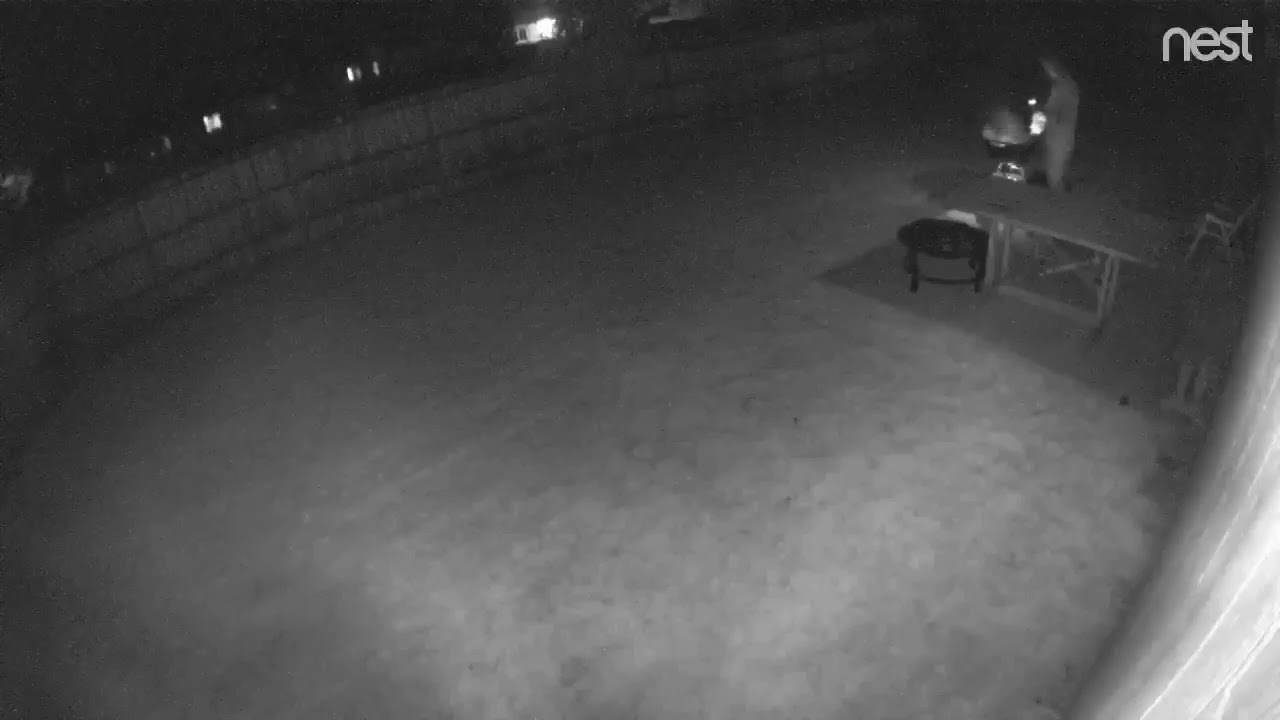 BBQ Explosion On Camera