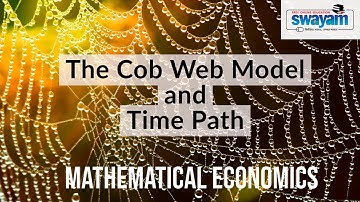 The Cob Web Model and Time Path | Mathematical Economics