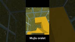 Mujlu Oralet Yaptım