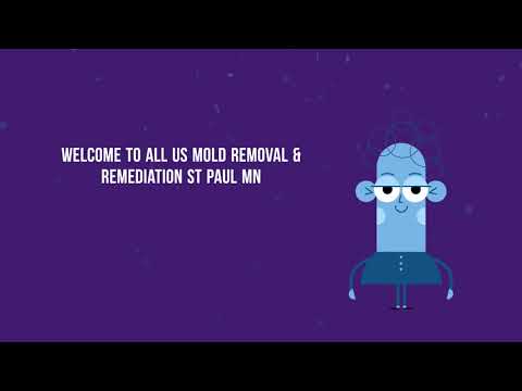 ⁣ALL US Mold Removal - Professional mold removal services in ST PAUL MN