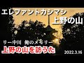 上野の山を訪うた リー中川の俺のメモリー 2022.3.16 エレファントカシマシ 上野の山 弾き語り