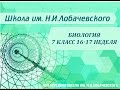 Биология 7 класс 16-17 неделя Подцарство Простейшие. Тип Саркодовые