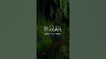 سورة الحجر اسلام صبحي