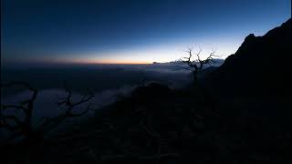 Wandering Shadows (Tranquil Cosmos Echo Ethereal) A.I. Created